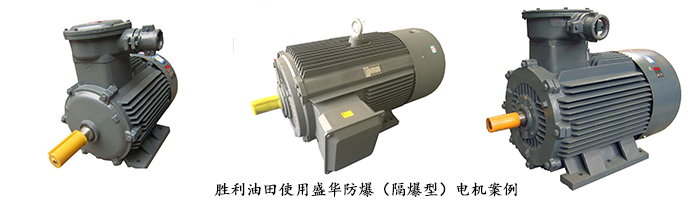 山東電機廠,防爆電機,電機使用用戶
