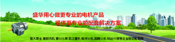 山東盛華電機生產廠家,高效節能電機,高原電機